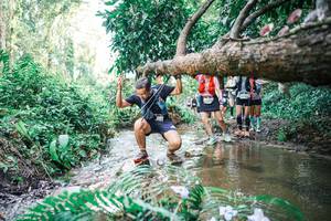 BIB: 
                            <button type="button" onclick="openModal(25477513)" class="btn btn-primary btn-sm float-right btn-popup" data-toggle="modal" data-target=".modal-high-quality">
                        <i class="fas fa-shopping-cart"></i> Add to Cart
                    </button>
                                            <button type="button" onclick="isThisMe(25477513, true)" class="btn btn-success btn-sm float-right btn-popup btn-isme hidden" data-toggle="tooltip" data-placement="bottom" title="นี่คือรูปของคุณใช่ไหม คลิกที่นี่เพื่อเอาเข้าอัลบั้ม">
                        <i class="fas fa-plus"></i> Add to album
                    </button>
                    <button type="button" onclick="isThisMe(25477513, false)" class="btn btn-warning btn-sm float-right btn-popup btn-isnotme hidden">
                        <i class="fas fa-ban"></i> Remove from album
                    </button>